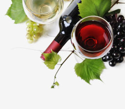 VinoTEC, el ERP para  Bodegas e Industrias vitivinícolas