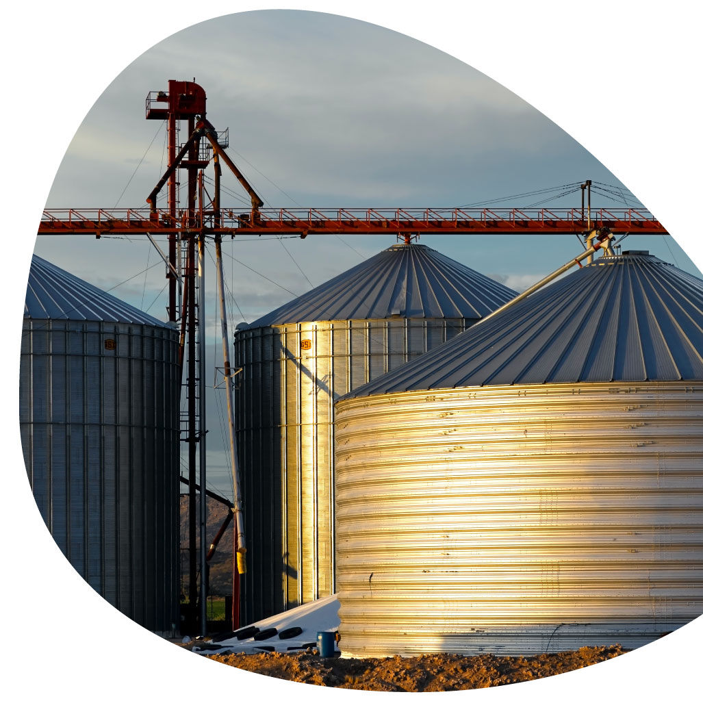 erp empresas cereales agricultura