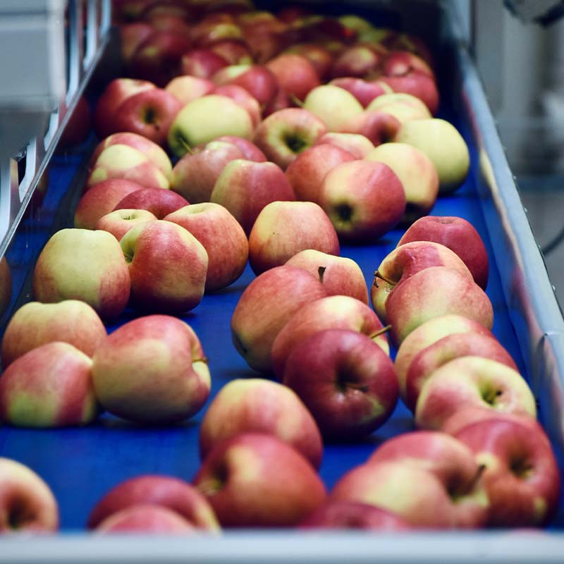 erp empresas hortofruticolas