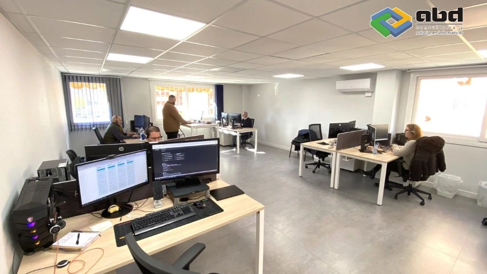 consultoría informática para pymes