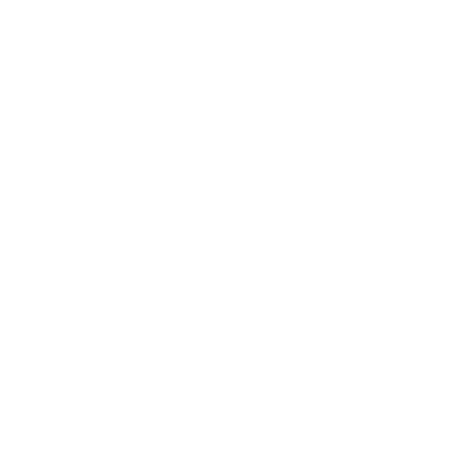 ai ai